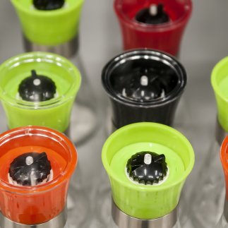 Lebensmittel & Wasser